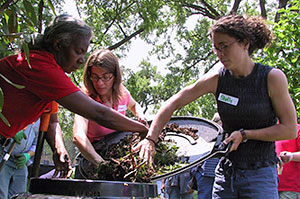 composting