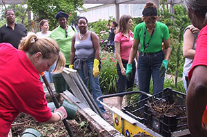 composting