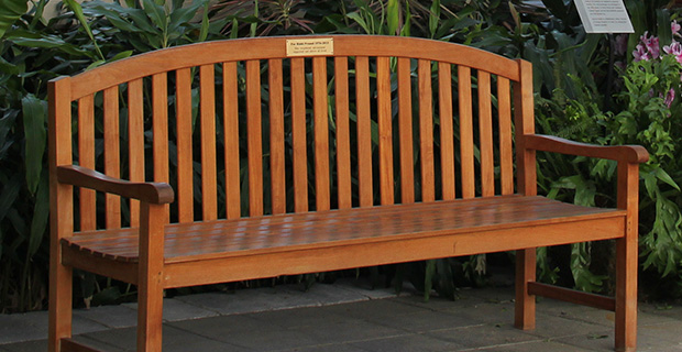 memorial bench