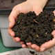 Composting